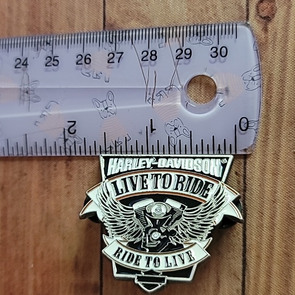 Harley-Davidson Live to Ride, Ride to Live 2006 Eagle Bar Nickel Plated Pin - Picture 3 of 6